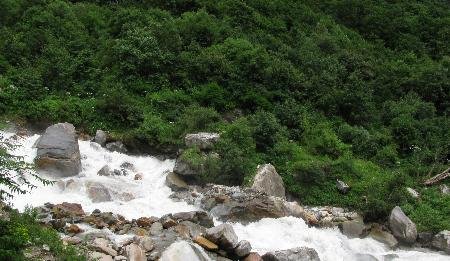 Day 02: GovindGhat - Ghangaria Trek (14 Kms/07 hrs)